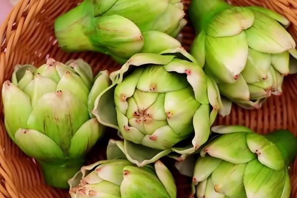 朝鲜蓟在中国的叫法，一般叫做菜蓟