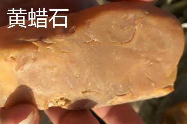 黄龙玉和黄蜡石有什么区别，成分、产地、颜色等方面都不同