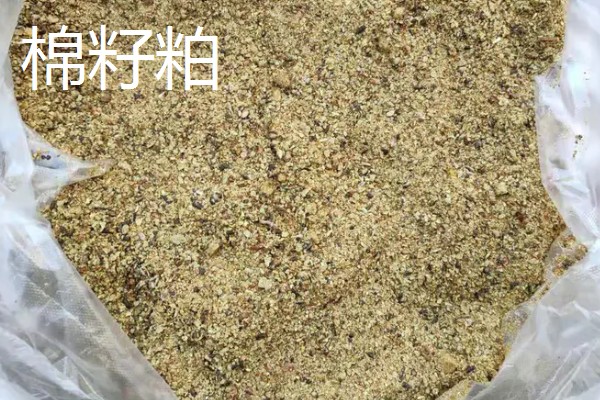 发酵豆粕有什么弊端,保存时间比不上普通豆粕