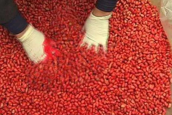 用农药处理种子的方法，根据种子类型使用不同的药物拌种