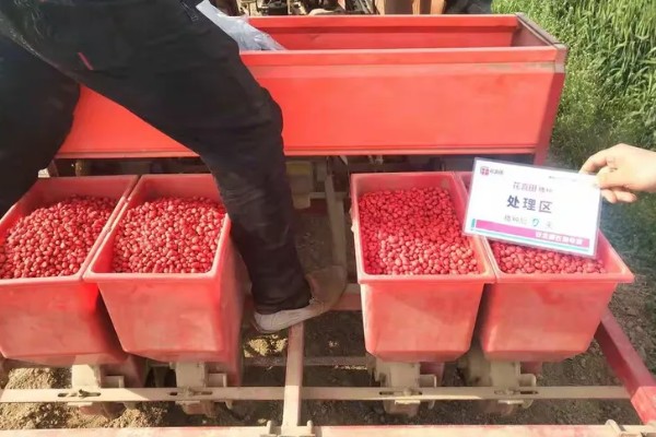 用农药处理种子的方法，根据种子类型使用不同的药物拌种