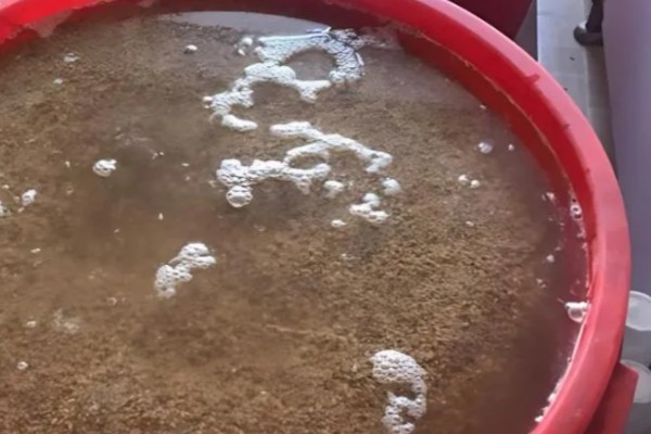 用农药处理种子的方法，根据种子类型使用不同的药物拌种