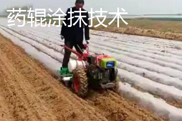 用农药处理种子的方法，根据种子类型使用不同的药物拌种