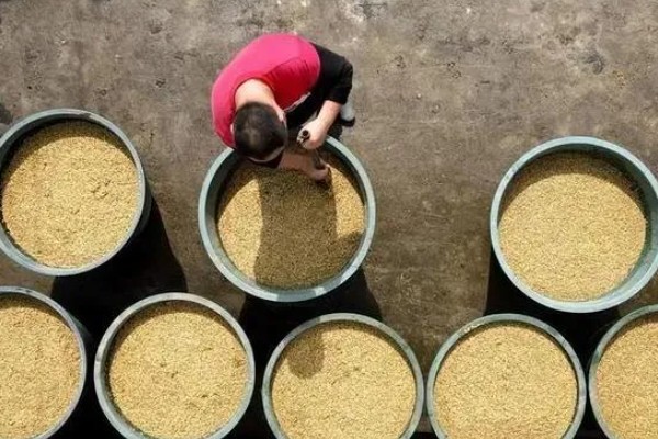 用农药处理种子的方法，根据种子类型使用不同的药物拌种