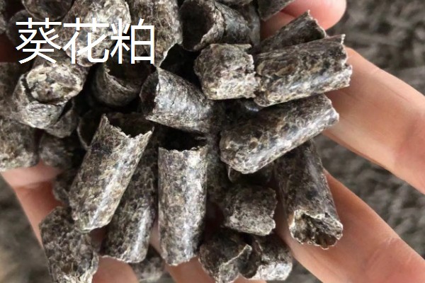 发酵豆粕有什么弊端,保存时间比不上普通豆粕