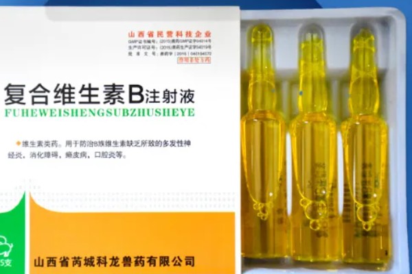 孕畜能否使用兽用维生素B,使用后可治疗腹痛、瘤胃积食等病症