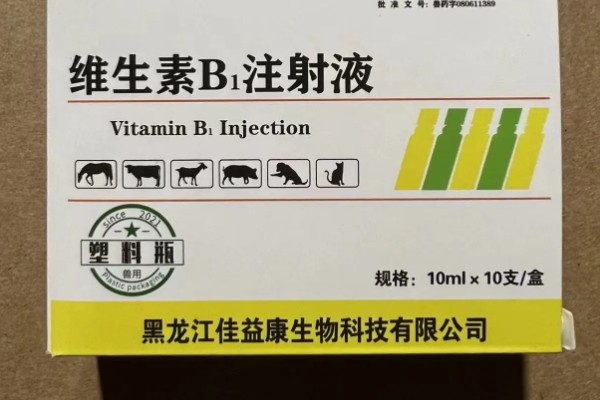 孕畜能否使用兽用维生素B,使用后可治疗腹痛、瘤胃积食等病症