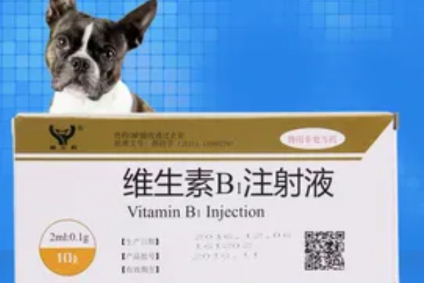 孕畜能否使用兽用维生素B,使用后可治疗腹痛、瘤胃积食等病症