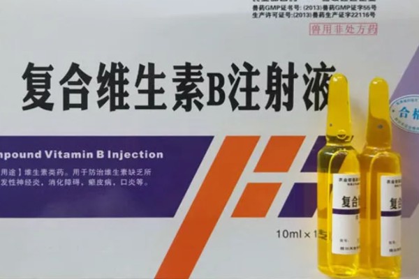 孕畜能否使用兽用维生素B,使用后可治疗腹痛、瘤胃积食等病症