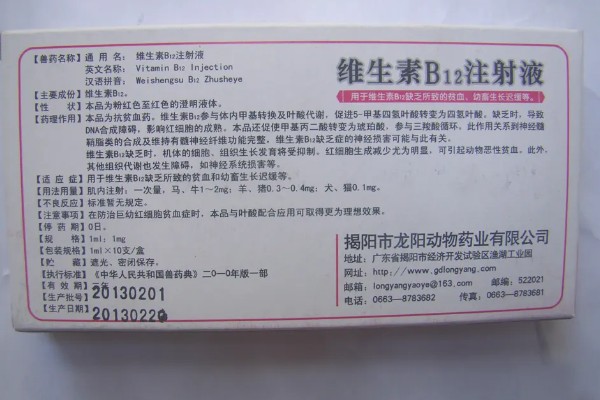 孕畜能否使用兽用维生素B,使用后可治疗腹痛、瘤胃积食等病症