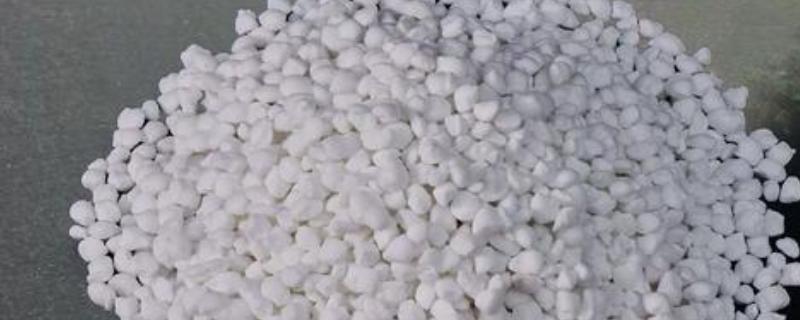 硼肥有什么作用，可提高植物的结实率和坐果率