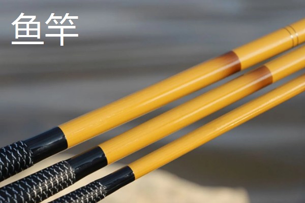 钓泥鳅应该钓底吗，属于底栖性鱼类