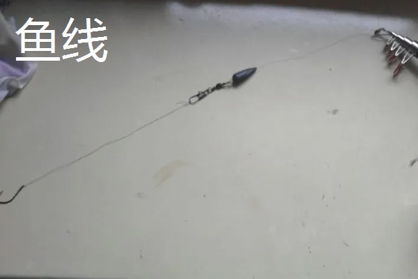 钓泥鳅应该钓底吗，属于底栖性鱼类