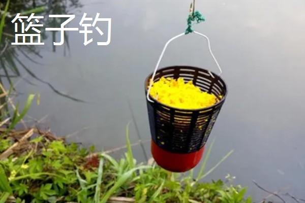 钓泥鳅应该钓底吗，属于底栖性鱼类