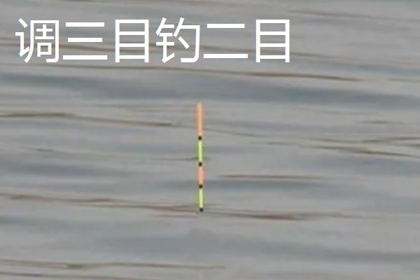 钓泥鳅应该钓底吗，属于底栖性鱼类