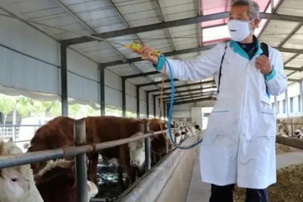 牛舍消毒用哪些消毒液，可以用氢氧化钠