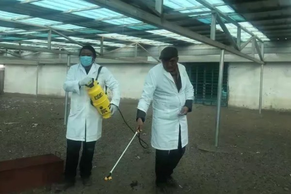 牛舍消毒用哪些消毒液，可以用氢氧化钠