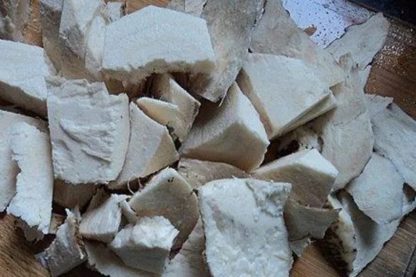 葛根是喜阳还是喜阴，葛根喜阳