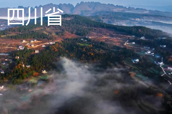 葛根是喜阳还是喜阴，葛根喜阳