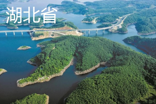 葛根是喜阳还是喜阴，葛根喜阳