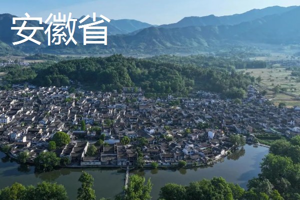 葛根是喜阳还是喜阴，葛根喜阳