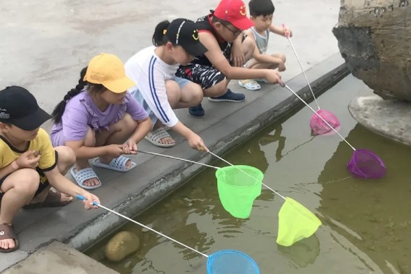 捕捞蝌蚪的工具，小网、脸盆、水瓢都可以使用