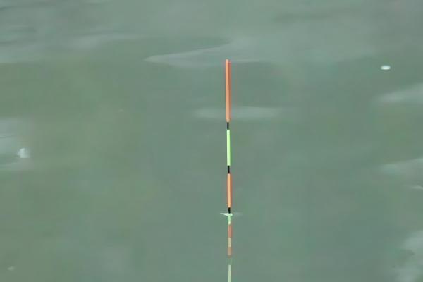 台钓新手怎么入门，在正方形的池塘中钓四个角