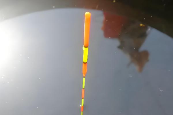 台钓新手怎么入门，在正方形的池塘中钓四个角