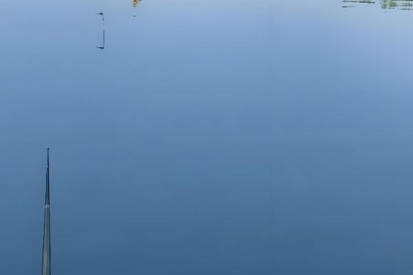 台钓新手怎么入门，在正方形的池塘中钓四个角