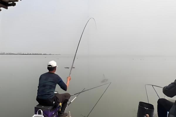 台钓新手怎么入门，在正方形的池塘中钓四个角