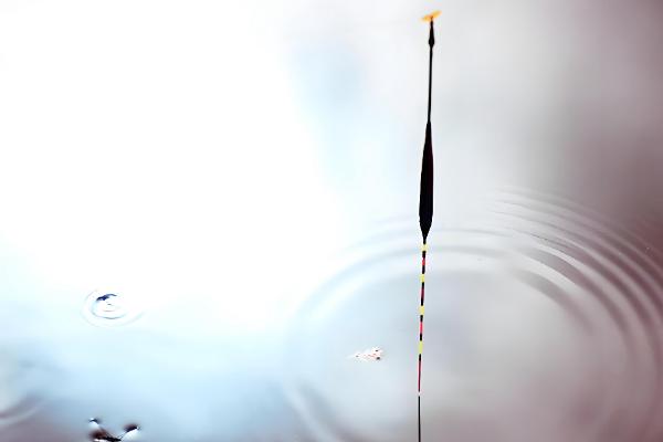 台钓新手怎么入门，在正方形的池塘中钓四个角