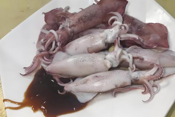 鱿鱼与乌贼有什么区别，前者属于枪乌贼科、后者属于乌贼科