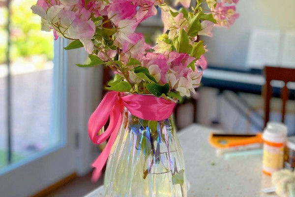 三角梅泡水中可以生根吗，可以生根