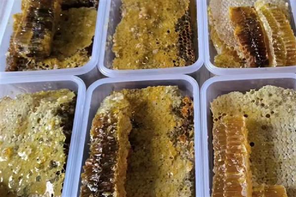 土蜂蜂巢蜜的价格，一般100-300元一斤