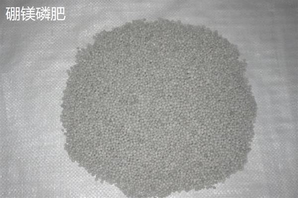 硼肥有什么作用，可提高植物的结实率和坐果率