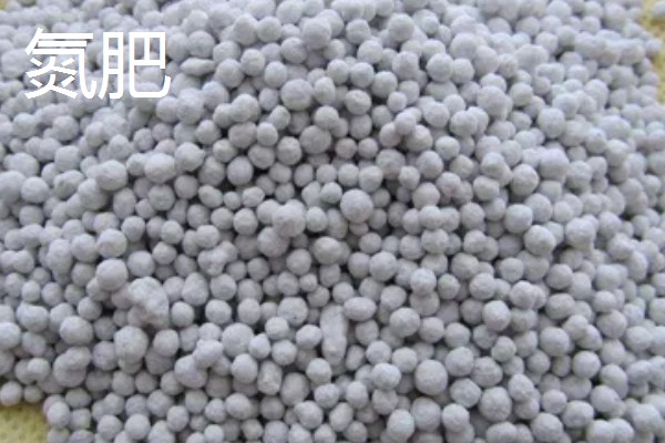 氮肥和钾肥哪个膨果快，钾肥比氮肥膨果要快