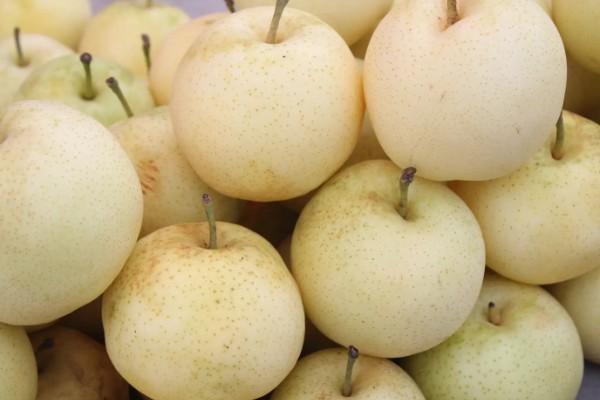 选购优质黄金梨的方法，从梨脐、形状等方面去挑选