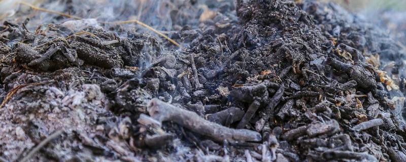 草木灰的主要成分，是碳酸钾