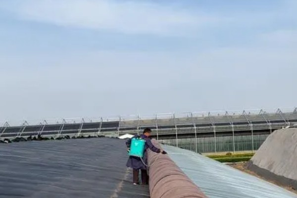 冬季蔬菜大棚怎样用补光灯,补光灯功率通常为36W