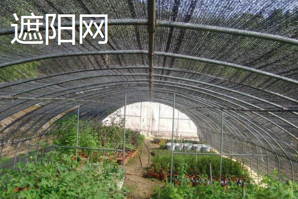 冬季蔬菜大棚怎样用补光灯,补光灯功率通常为36W