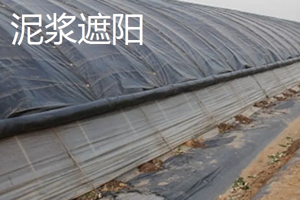 冬季蔬菜大棚怎样用补光灯,补光灯功率通常为36W