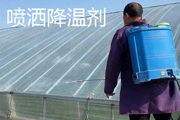 冬季蔬菜大棚怎样用补光灯,补光灯功率通常为36W