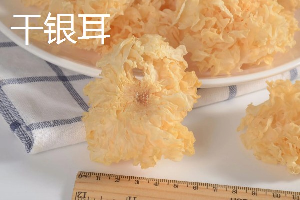 鲜银耳和干银耳的区别，外观和颜色均不同