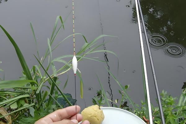 台钓怎么调漂，可采取重铅找底、下挪浮漂等方法