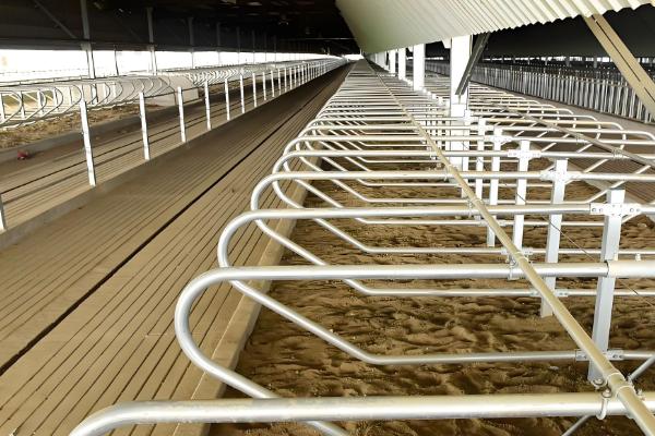 养30头牛具体投入成本预计，大概在16.8万元左右