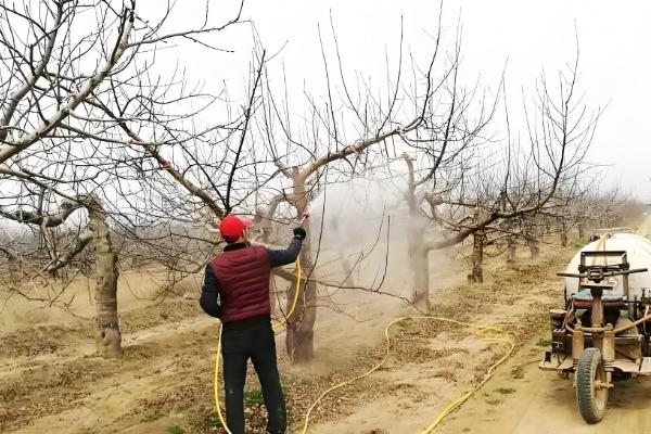 使用石硫合剂要注意什么,气温过高或过低时都不能使用