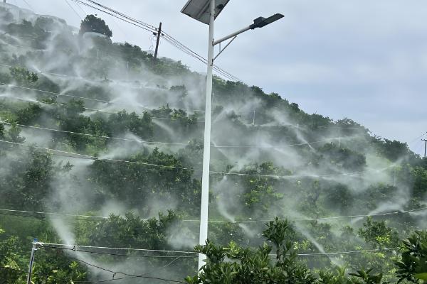 使用石硫合剂要注意什么,气温过高或过低时都不能使用