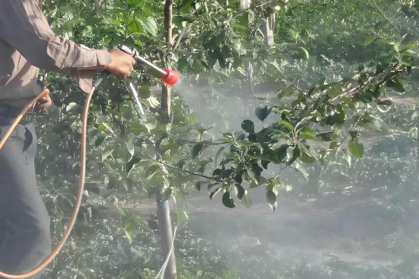 使用石硫合剂要注意什么,气温过高或过低时都不能使用