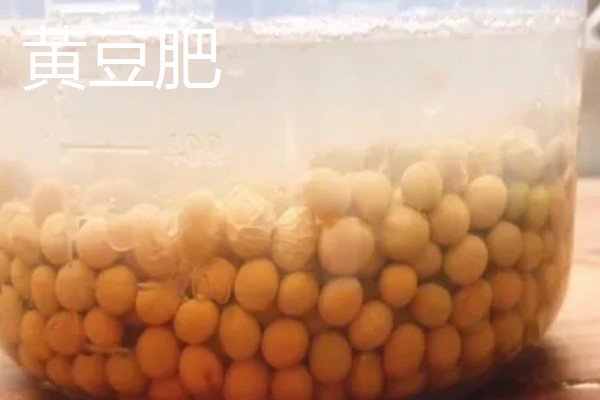 哪些肥料可作为韭菜专用肥,有腐熟的鸡粪、草木灰、饼肥等类型