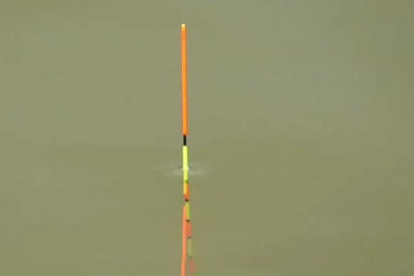 钓鱼怎么看漂相，鲫鱼的典型漂相是抬漂和顿口